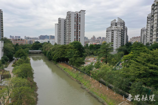 番禺区桥南桥景滨水公园：焕新生态活力 家门口的儿童友好乐园