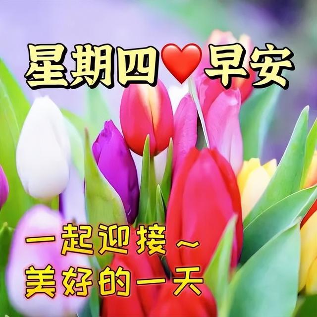 早安暖心短句，早上好祝福语吉祥话，健康天天在，幸福天天来