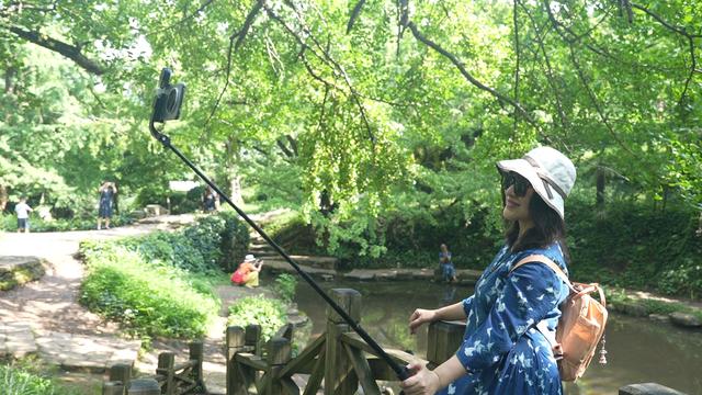 盘州市妥乐古银杏景区：绿色氧吧引来众多避暑游客