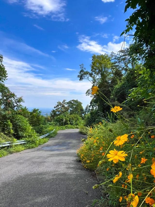 彭州这条“世界级”徒步线，走起！