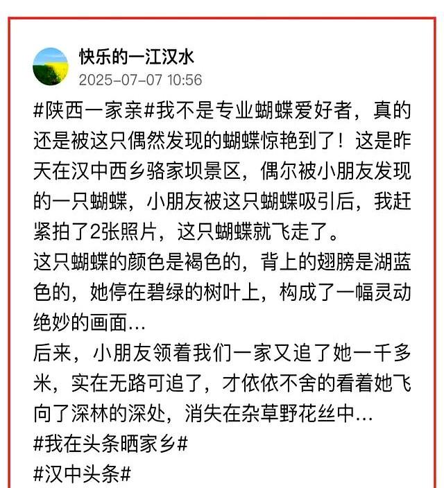 家乡的味道，舌尖记得、心也记得｜ 条友这一周
