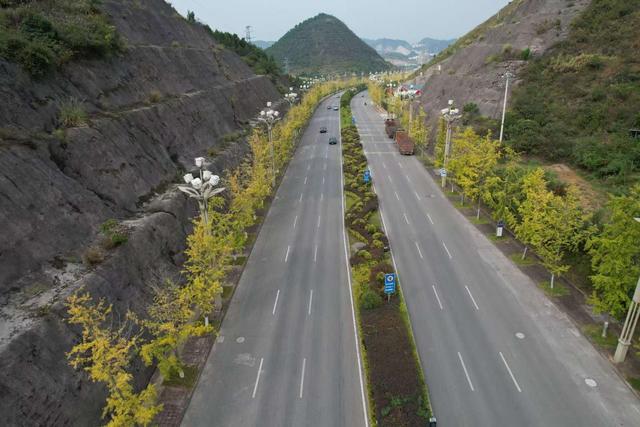 凯里版“黄金大道”将迎来观赏佳期 您的相机准备好了吗