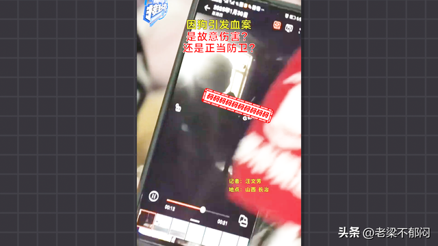 刺死入户狗主是否正当防卫？起诉书提法与家属陈述有冲突