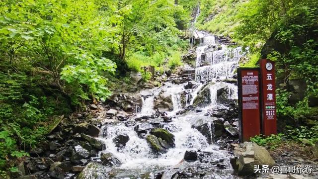 探秘龙江之巅：凤凰山国家森林公园纪行