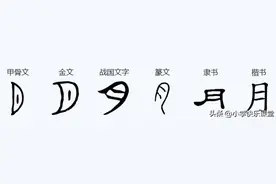 月朋朤读什么？什么意思？一个月、两个月、三个月分别读什么？图片