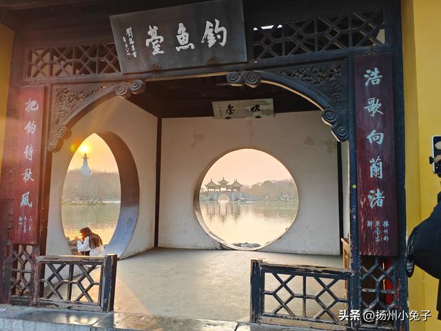 一月，我是一只吃窝边草的兔子