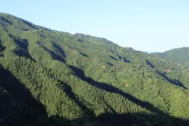 年过五十的70后，若要长期照顾七八十岁的父母，一定要多留个心眼图片