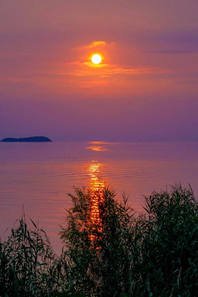 真的很美！2025苏州太湖观鸟超详细攻略来啦！