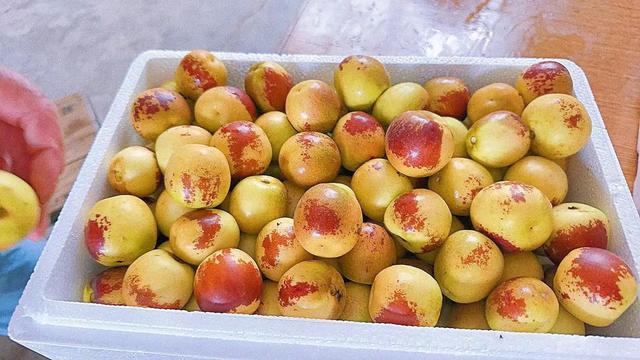 冬枣立大功！新发现：冬枣能在24小时清除45%的肠道“垃圾”