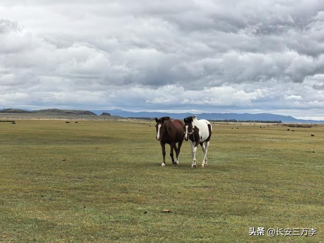 北上大草原第8站：贡格尔草原生活体验一天