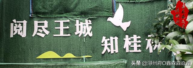 广西人文：阅不尽的桂林王城——王城三组“及第”碑刻的由来