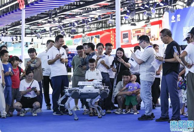 2025数博会 | 数博会到底给贵阳贵安带来了什么？