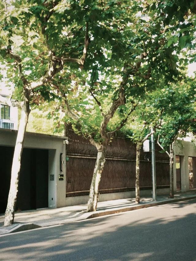 叮！你有一份上海秋日漫步地图待解锁→