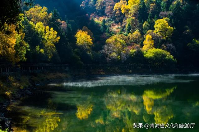 秋色漫卷海东,一场山水林间的浪漫叙事