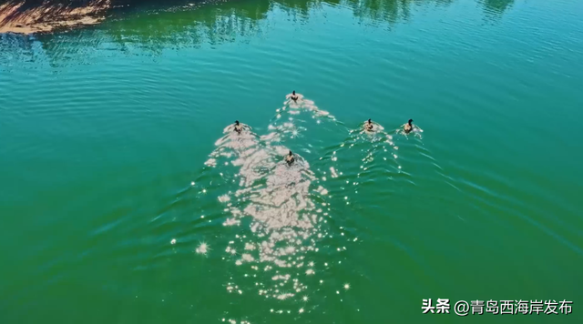 走不出这画了，我已被西海岸的秋景迷倒 🥹