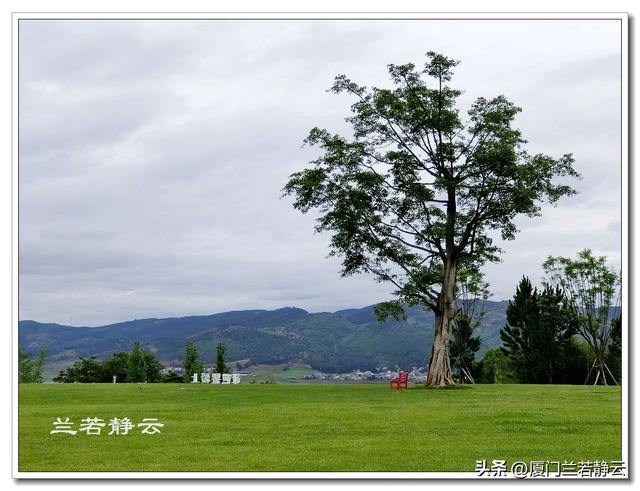 云南弥勒：太平湖森林公园的大地艺术作品