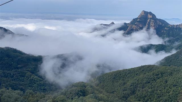 秋雨润泰山 云海漫山峦