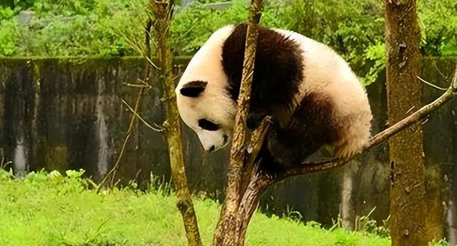 中国历史上有两个“天府之国”，一个在成都平原，另一个又在哪里