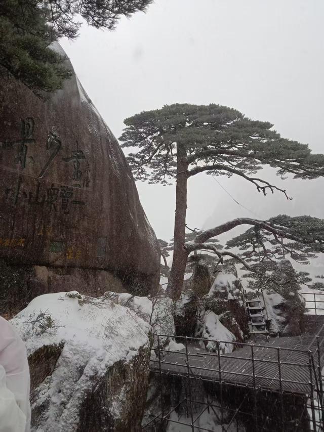 黄山一游有感