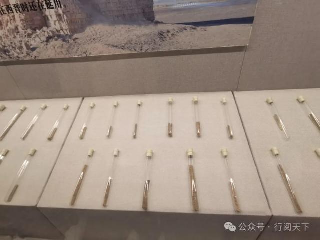 额济纳，额济纳，秋天必须要去额济纳，与金色胡杨林相遇