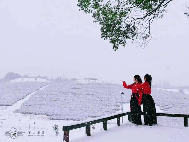 雪҈ 雪҈ 雪҈ 太美啦！快接住这“泼天”的雪白浪漫！