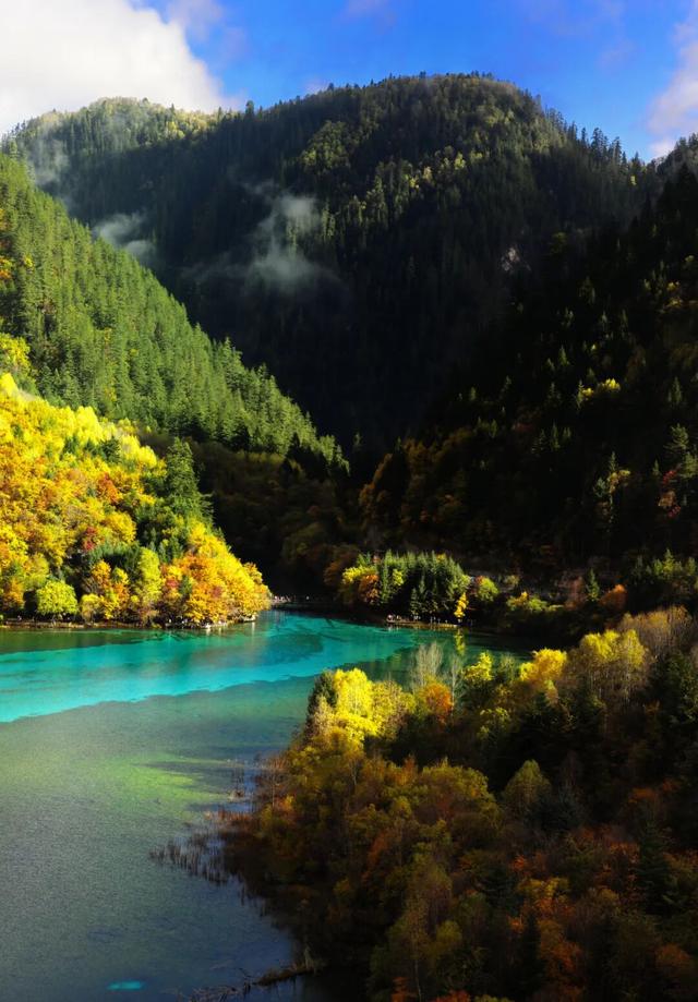 碧水吻醒秋色，落叶撞进九寨沟的调色盘