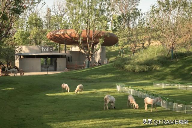 万社设计打造麓客岛动物农场，以设计与自然共谱城市田园牧歌