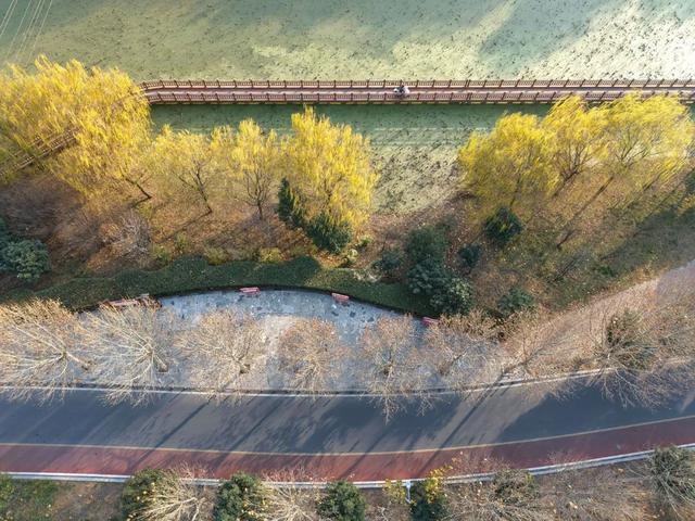 温县滨河公园,耐看!