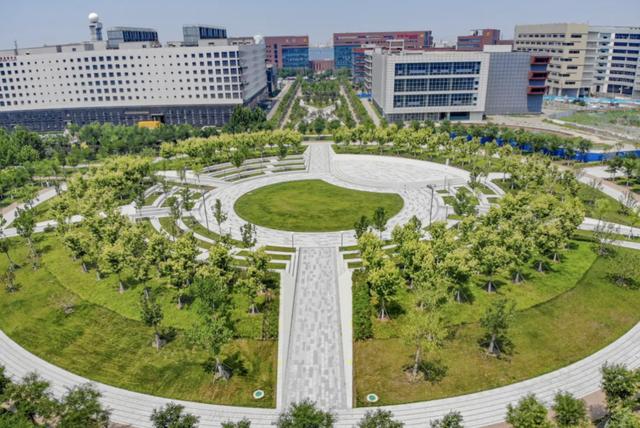 藏不住了！泰达这座神仙公园，让你忍不住“哇塞”！