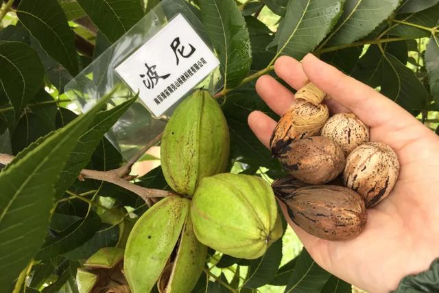 小小___,你真拿得下?