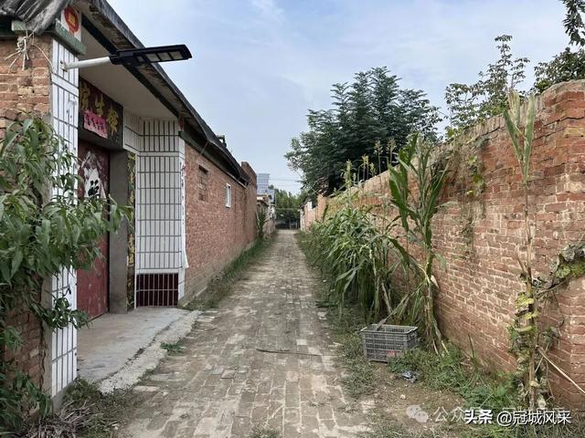 冠县乡韵·桑阿镇轧庄