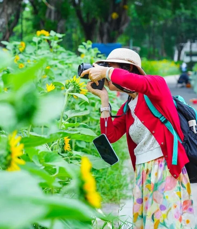 美爆了！佛山秋日花海上新！