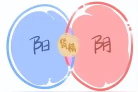 肾精不足百病生，这8个中成药，帮你补足肾精，肾好人康健图片