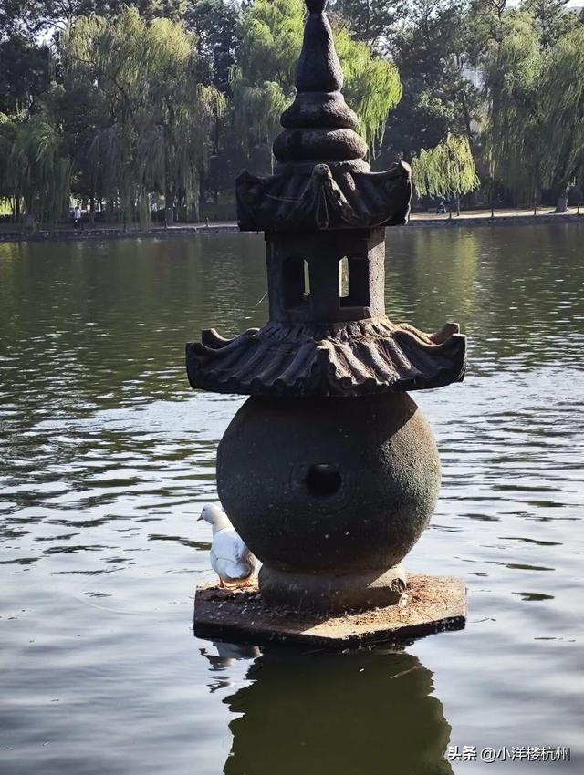 跟随树友们逛中国第一座现代植物园——浙大植物园