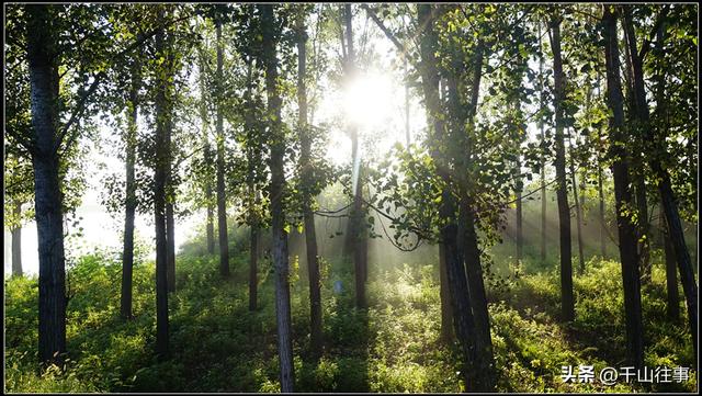 骑行为我们带来十大健康：20年骑友亲测，是生活的“幸福加速器”