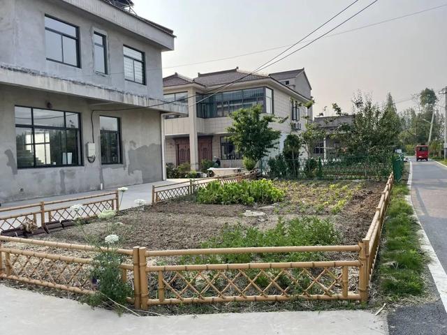 现场实拍界牌镇张家埭村，村景好美
