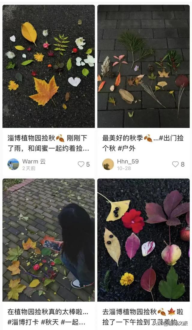 🤏捡捡捡，淄博惊现“捡秋”大神！海岱楼、周村大街…全被捡出来了→