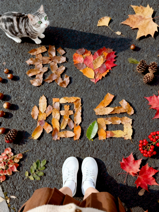 低头捡个秋！我收藏了整个烟台的秋天