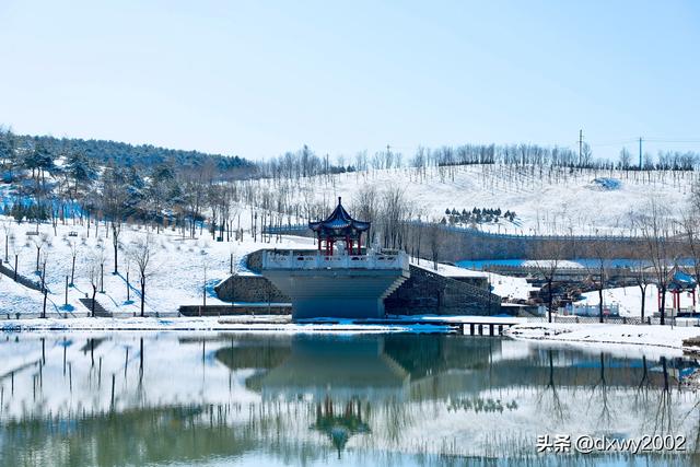 山西陵川雪后现雾凇美景