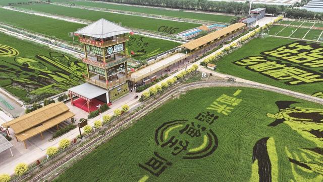 从“摘果尝鲜”到“沉浸式体验” 银川乡村游玩法升级 解锁诗与远方