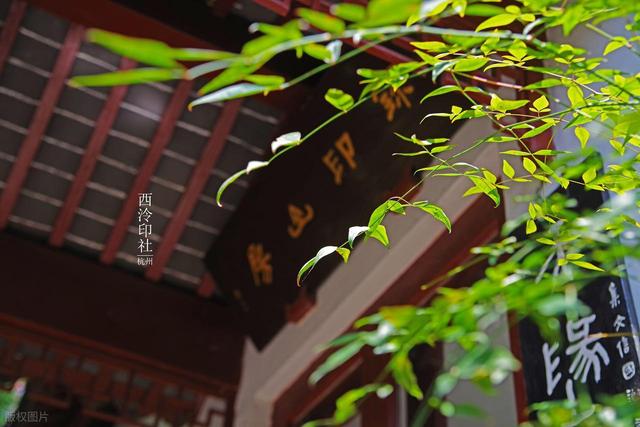 别只打卡西湖！杭州藏着3个被忽略的千年故事，读懂才算真的来过
