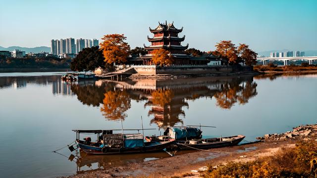 粉黛染霞闽水秋，银杏铺金古厝游 —— 福州秋色里的时空交响