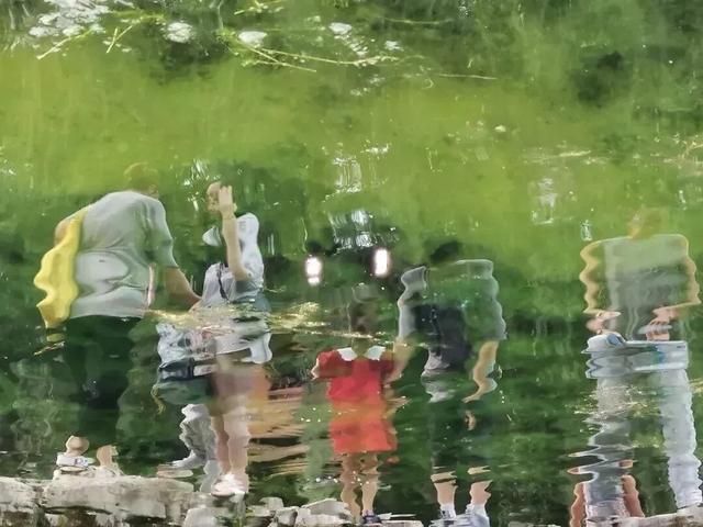 被济南泉水下的世界惊艳到了！