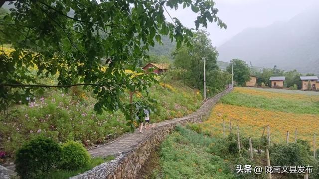 寨科桥游记