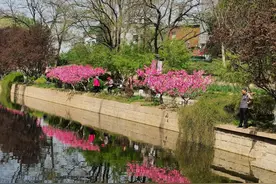 北京市西城区重点小学入学条件图片