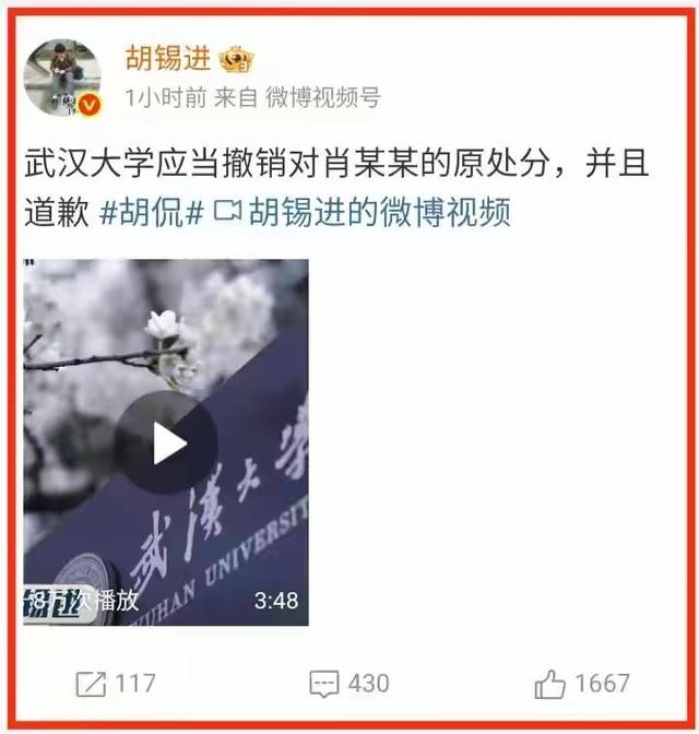 中纪委亮剑，武大这次踢铁板了！杨某恐怕不是“开除”这么简单 第10张