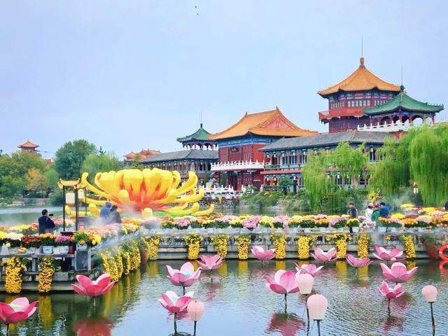 “枫”景正好！开封最美秋色已上线！