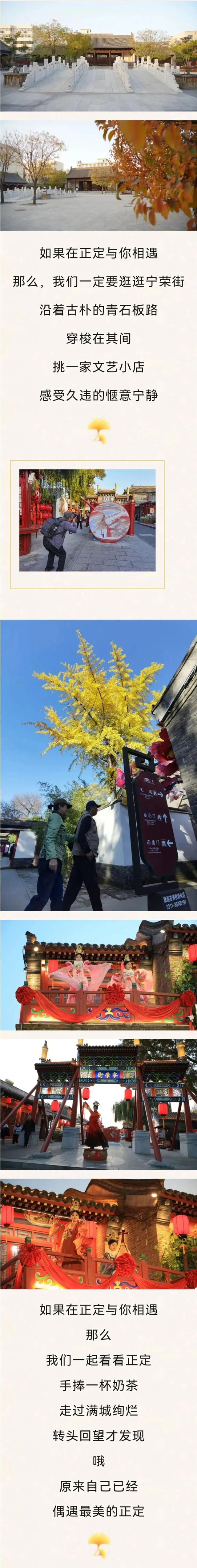 美！这才是正定的初冬“顶流”！