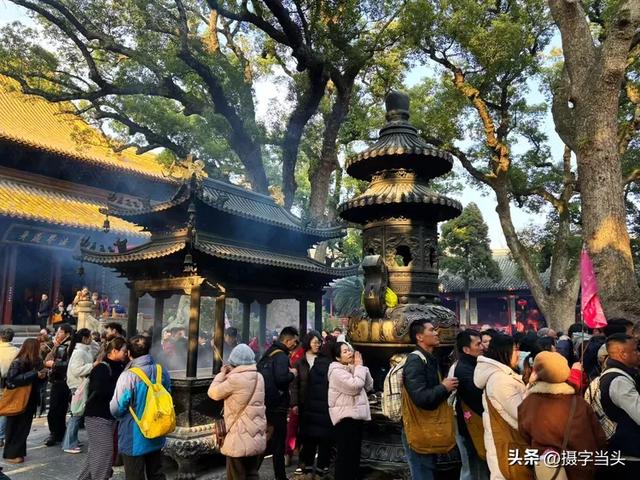 东海之滨——海天佛国普陀山