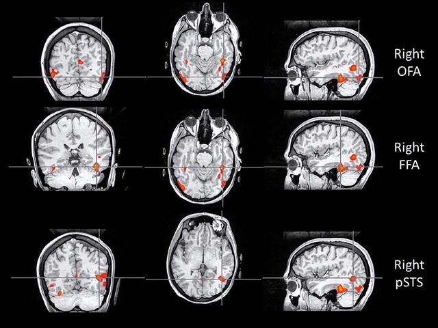 一个人能记住多少个人的脸？这个数字赌你猜不到